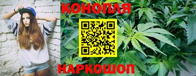 сатива Донской